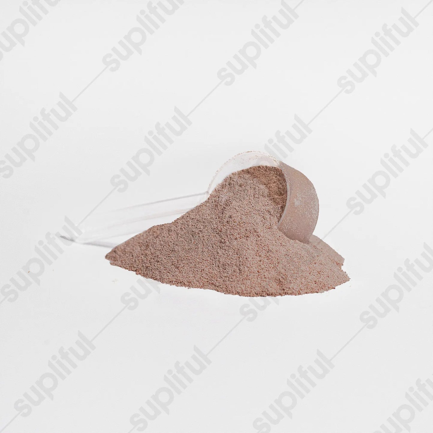 Whey Protein (Chocolate) Romulus