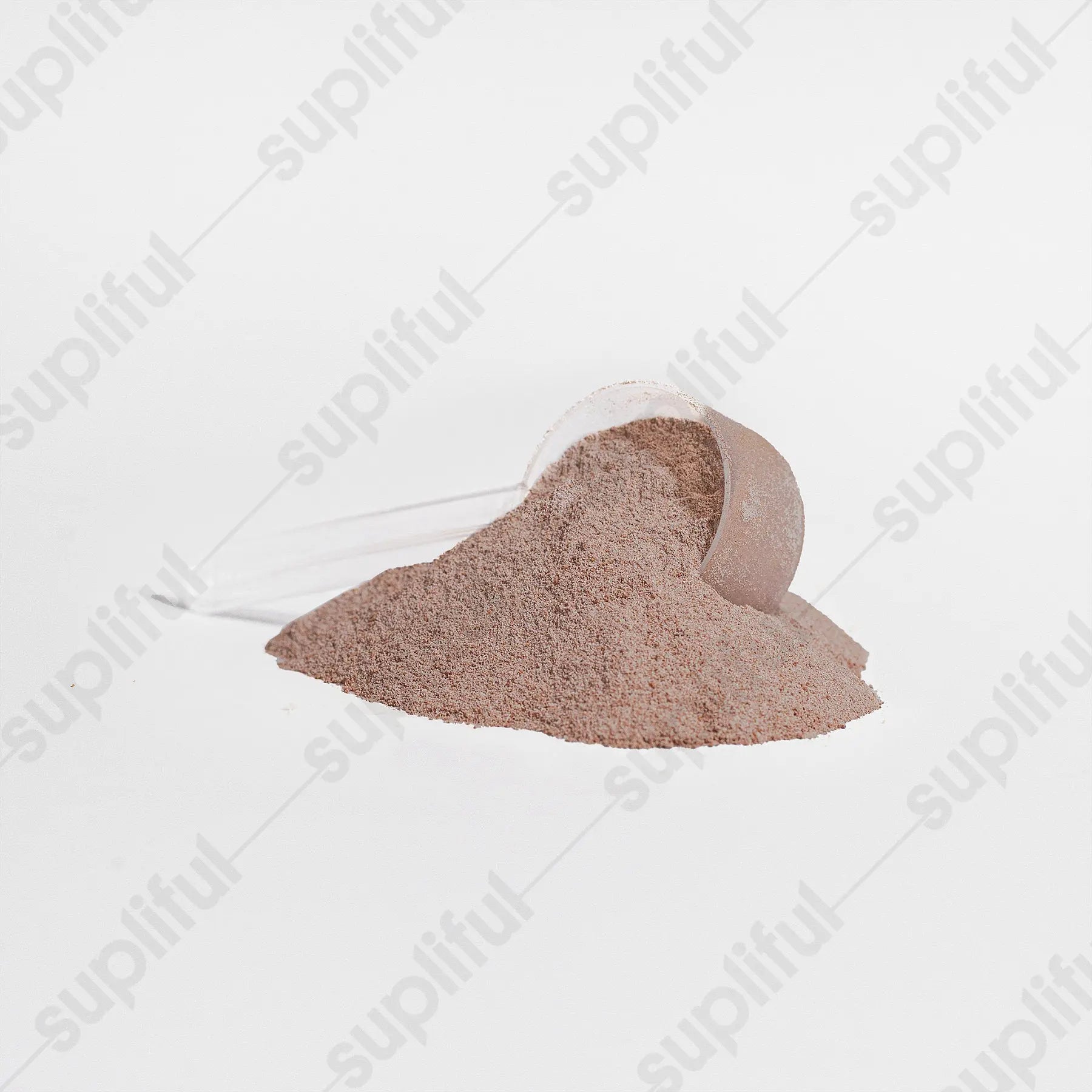 Whey Protein (Chocolate) Romulus