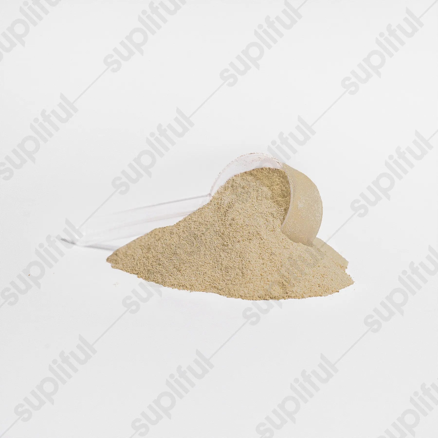 Whey Protein (Salted Caramel) Romulus
